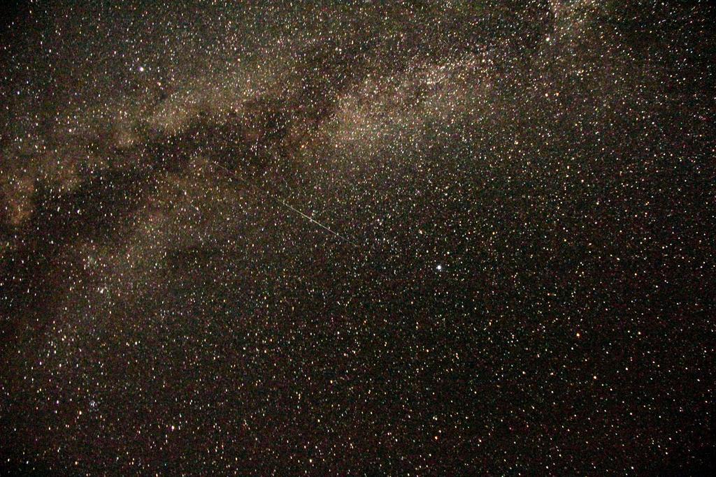 Wadi Rum Sleep Under The Stars Eksteriør billede