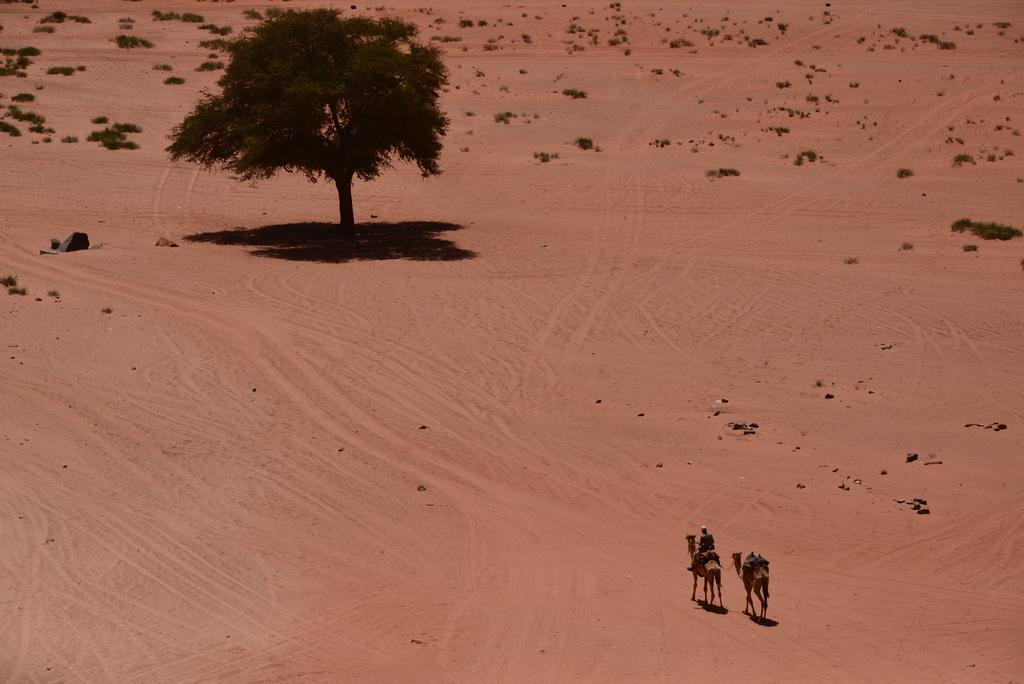 Wadi Rum Sleep Under The Stars Eksteriør billede